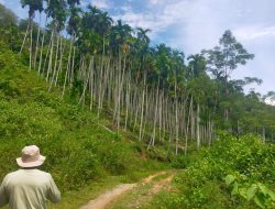 Pertama di Aceh, Hutan Adat Diakui Negara
