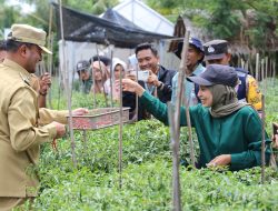 Pj Wali Kota Lhokseumawe Ajak Masyarakat Manfaatkan Lahan untuk Kemandirian Pangan