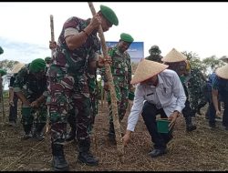 Kodim 0102/Pidie Dukung Gerakan Ketahanan Pangan Penanaman Jagung