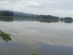 Banjir Meluap Lahan Sawah Pijay Tergenang Bagaikan Danau