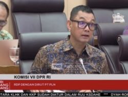 PLN Peroleh Laba Puncak 2023 Sebesar 22 T Lebih
