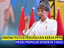 Gawat! Jokowi Putuskan Perjanjian Kerja PPPK Dalam 4 Kriteria