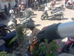 Dinsos Aceh Perlu Up-date Kembali Data Penerima BNPT