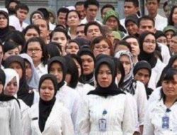Tenaga Honorer dan PPPK, Sudah Dapat Menikmati Masa Kerja Nyaman dan Stabil