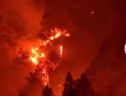 Hutan Lindung Danau Toba Diduga Sengaja Dibakar