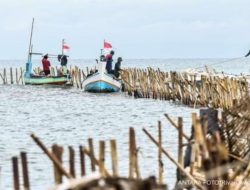 Dalang Pagar Laut Terbongkar