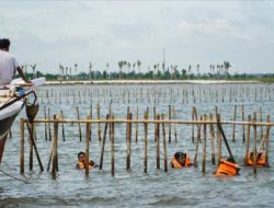 Pagar Laut Catatan Hitam Masa Lalu