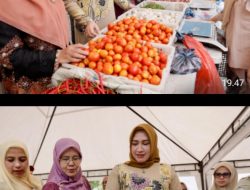 Pasar Tani Distambun Mendapat Apresiasi dari Marlina Muzakir