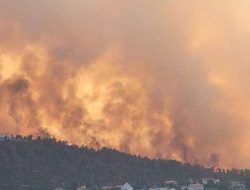 Israel Bagai Neraka Api Membakar Hutan