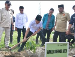 Wagub Fadhlullah Resmikan Pusat Pelatihan Budidaya Bibit Kakao Unggul di Aceh Timur