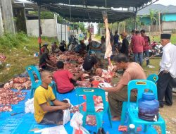 Pelaksanaan Qurban Berjalan Lancar di Dusun A Bahagia, Gampong Panggoi