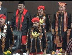 HUT Ke-51 Aceh Tenggara, Gubernur Minta Pembangunan Diimbangi dengan Pelestarian Lingkungan