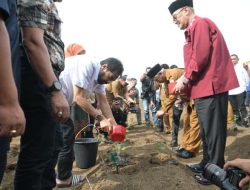 Mualem Dukung Petani Cabai dan Nilam untuk Kendalikan Inflasi dan Tingkatkan Ekonomi