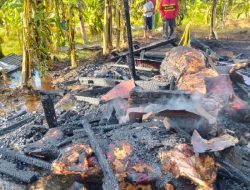 BPBD Aceh Besar Imbau Masyarakat Waspada Kebakaran