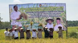 Panen Raya di Seruway: Petani Aceh Tamiang Dapat Dukungan Langsung Wakil Gubernur Aceh
