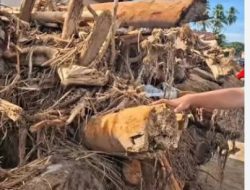 Awasi Pemanfaatkan Kayu Banjir, Waspada Jeratan Hukum