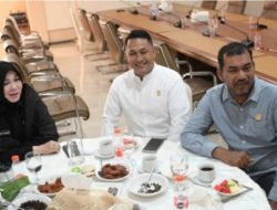 DPRK Banda Aceh Desak Pemko Ganti Pohon Yang Sudah Tua 