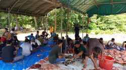 Gampong Keunaloi Kurban 7 Sapi Rayakan Idul Adha 1447 H