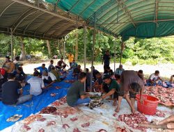 Gampong Keunaloi Kurban 7 Sapi Rayakan Idul Adha 1447 H