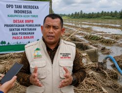 Banjir Lumpuhkan Sektor Pangan, DPD Tani Merdeka Minta Langkah Nyata BNPB