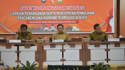 Di Depan Mendagri: Mualem Minta Percepatan Pemulihan Sawah dan Infrastruktur