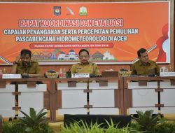 Di Depan Mendagri: Mualem Minta Percepatan Pemulihan Sawah dan Infrastruktur