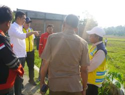 Sekda Aceh Dorong Percepatan Pemulihan Sektor Pertanian Aceh Timur