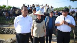 Pemerintah Aceh Pacu Pemulihan Sawah Terdampak Bencana Hidrometeorogi