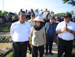 Pemerintah Aceh Pacu Pemulihan Sawah Terdampak Bencana Hidrometeorogi