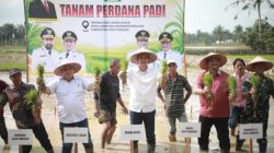 Pimpin Tanam Padi Perdana Pasca Bencana, Sekda Aceh : Jaga Stabilitas Pangan Tetap Aman