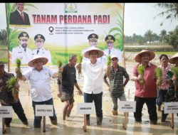 Pimpin Tanam Padi Perdana Pasca Bencana, Sekda Aceh : Jaga Stabilitas Pangan Tetap Aman