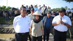 Posisi Bantuan Kementan untuk Pemulihan Sawah dan Kebun