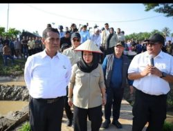 Posisi Bantuan Kementan untuk Pemulihan Sawah dan Kebun