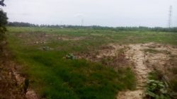 Stafsus Gubernur Terima Aduan Sawah Rusak Pascabencana di Aceh