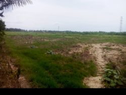 Stafsus Gubernur Terima Aduan Sawah Rusak Pascabencana di Aceh